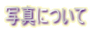 �ʐ^�ɂ��� 